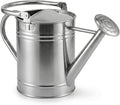 Gardenised 1 Gallon Galvanized Metal Watering Can with Removable Long Spout & Sprinkler Head for Indoor & Outdoor Use Ideal for Garden Flowers Plants Houseplants Modern Home Accessories, Silver- Tone