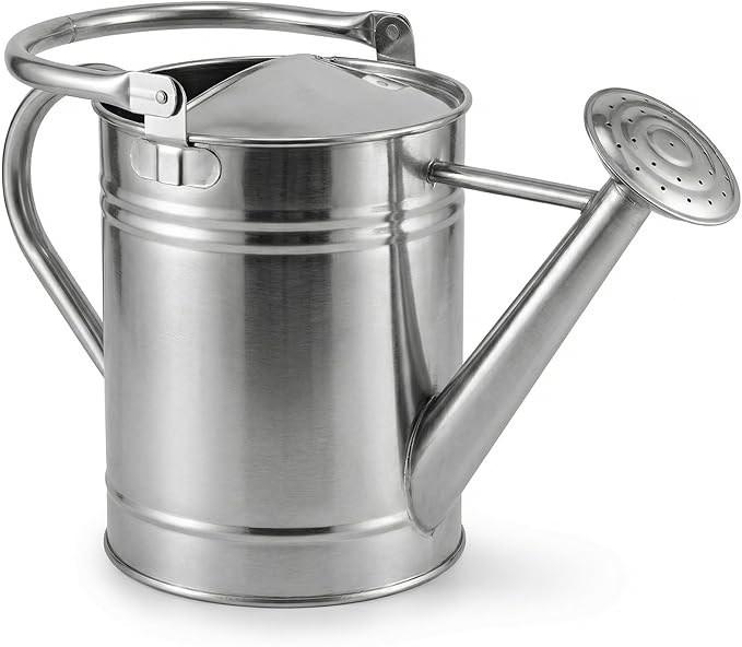 Gardenised 1 Gallon Galvanized Metal Watering Can with Removable Long Spout & Sprinkler Head for Indoor & Outdoor Use Ideal for Garden Flowers Plants Houseplants Modern Home Accessories, Silver- Tone
