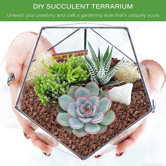 NUPICK 12lb Red Lava Rocks for Plants, 3/8" Succulent Potting Soil Amendments, Decorative Lava Rocks for Fire Pit, Volcanic Gravel for Aquarium, Natural Pebbles Pumice for Cactus, Vase, Top Dressing
