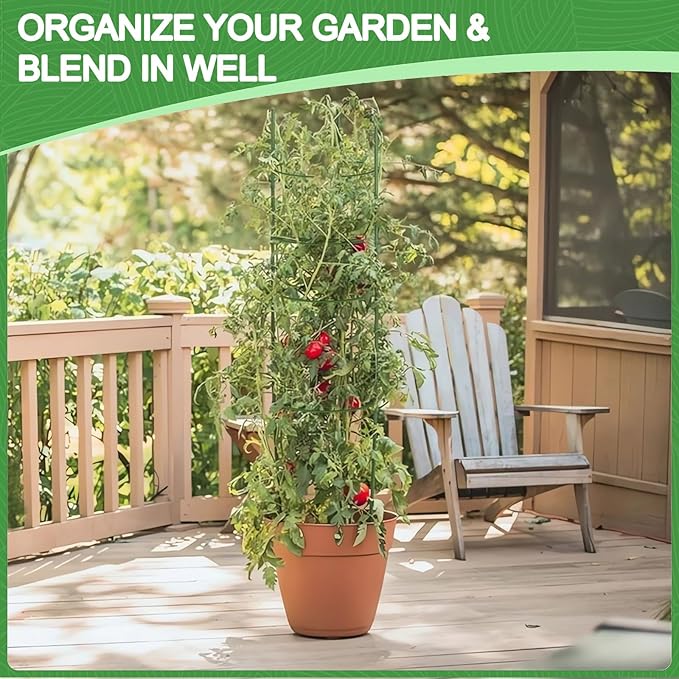 KLS 3 Pack Tomato Cage for Pots Plant Support, 48 Inches Tomato Cages for Garden Cucumber Trellis for Raised Bed, Pepper Cage Trellis Kit with Plant Tie and Clips (48")