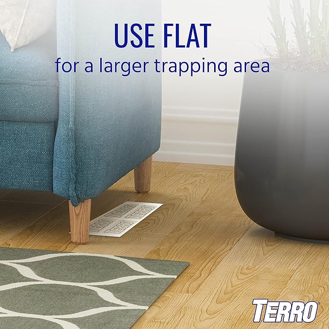 TERRO T3206SR Non-Toxic Indoor Spider, Ant, Cockroach, Centipede, & Insect Traps - Includes 12 Bug Traps Indoor for Homes