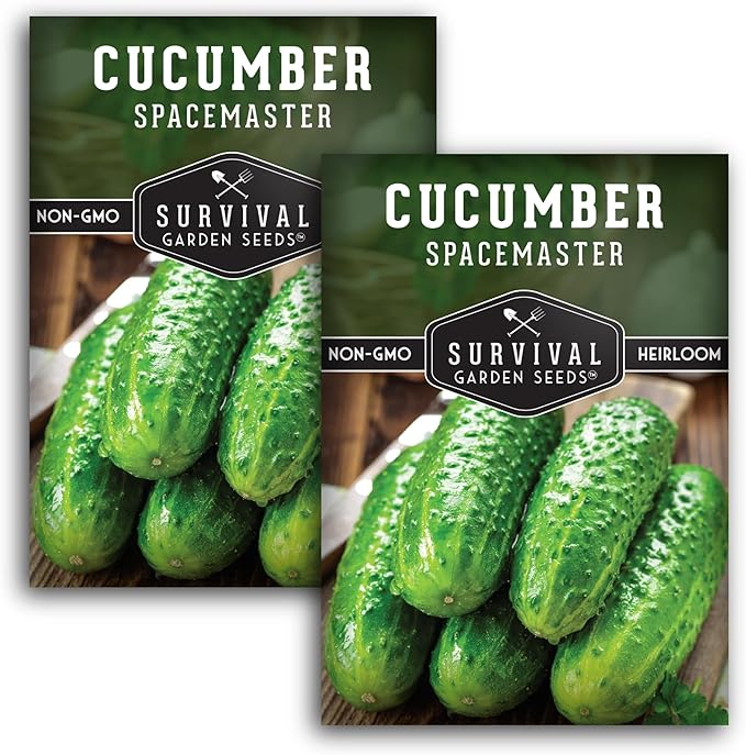 Spacemaster Cucumber Seeds for Planting | Compact Heirloom Non-GMO Variety for Small-Space Gardens – Survival Garden Seeds (2 Packs)