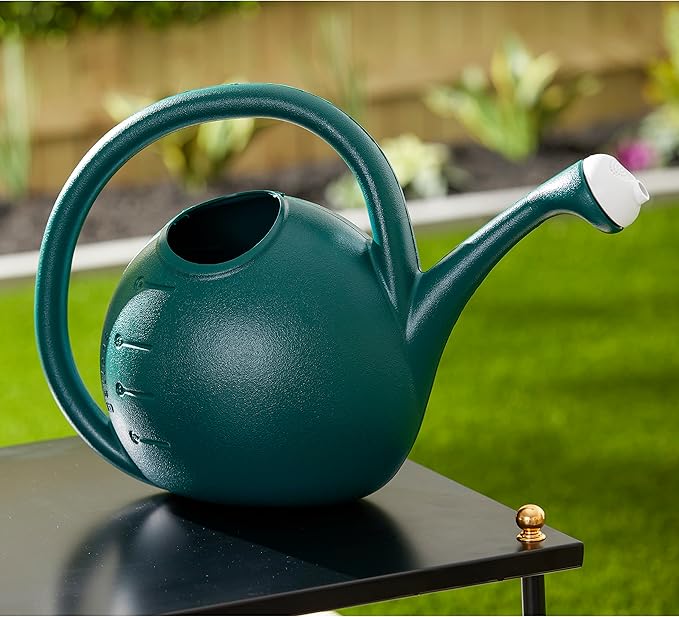 2-Gallon Premium Plastic Rosette Watering Can - The HC Companies 11"x21"x13.75" in Evergreen Color