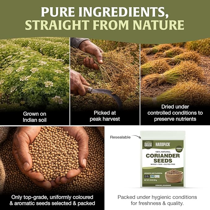 HANDPICK Whole Coriander Seed (283g/10oz) Premium Grade | Pure & Flavorful Coriander Seeds - Indian Origin | Non GMO, Gluten Free | Perfect for Cooking & Seasoning | Resealable Ziplock Pouch