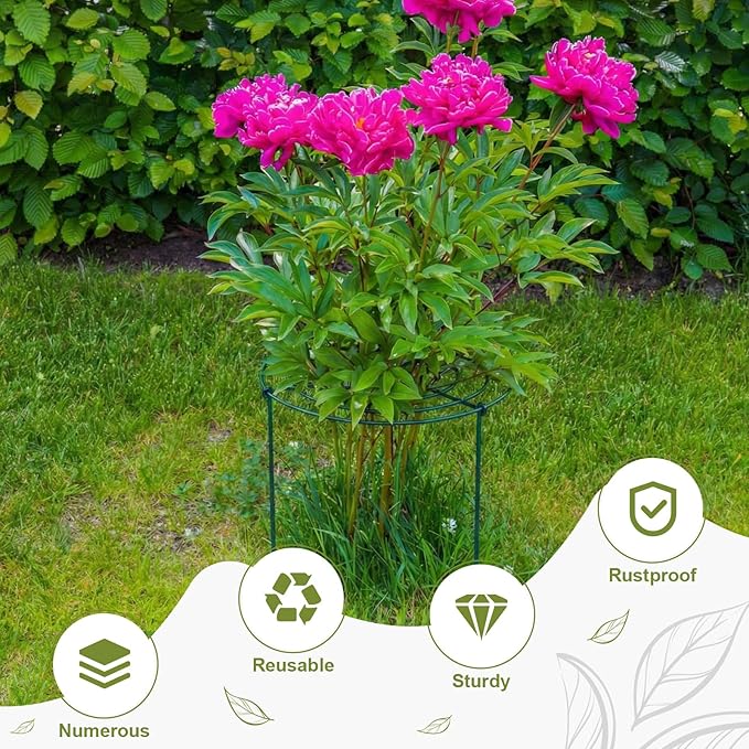 Geelin 15 Pack 12'' x 24'' Peony Cages and Supports Grow Through Metal Plant Supports Frame Rings Hoops for Outdoor Plants Peony Flowers Tomato Rose (Green)