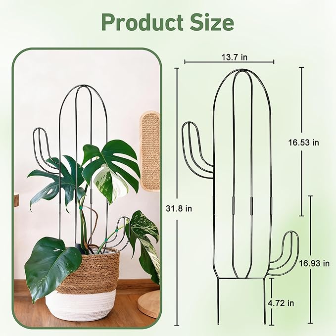 Plant Trellis for Climbing Plants Indoor, Cactus Trellis for Potted Plants, Pothos Hoya Monstera Metal Houseplant Climbing Support for Garden Balcony, 2P