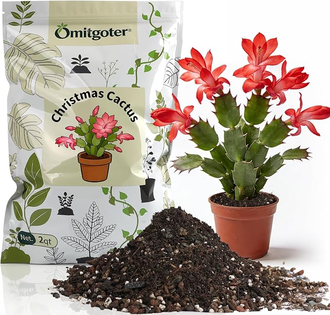 All-Natural Christmas Cactus Potting Soil Mix 4qt- Premium Well-Draining & Aerated ，Designed Specifically for Succulents and Cacti