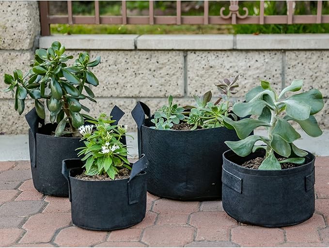 247Garden 2-Pack 100-Gallon Aeration Fabric Pot/Plant Grow Bag w/Handles (300GSM, Black, 18H x 40D)