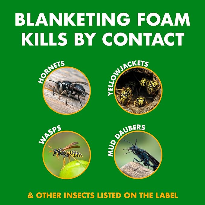 Spectracide Foaming Wasp & Hornet Killer, Blanketing Foam Kills by Contact, 14 Ounces