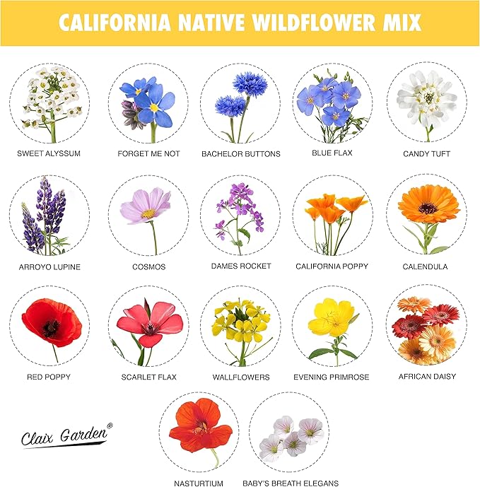 California Wildflower Mix - 10,000 Seeds - 17 Varieties - No Fillers, Open Pollinated and Non GMO, Perennial and Annual Garden Flowers, Attracts Bees and Butterflies