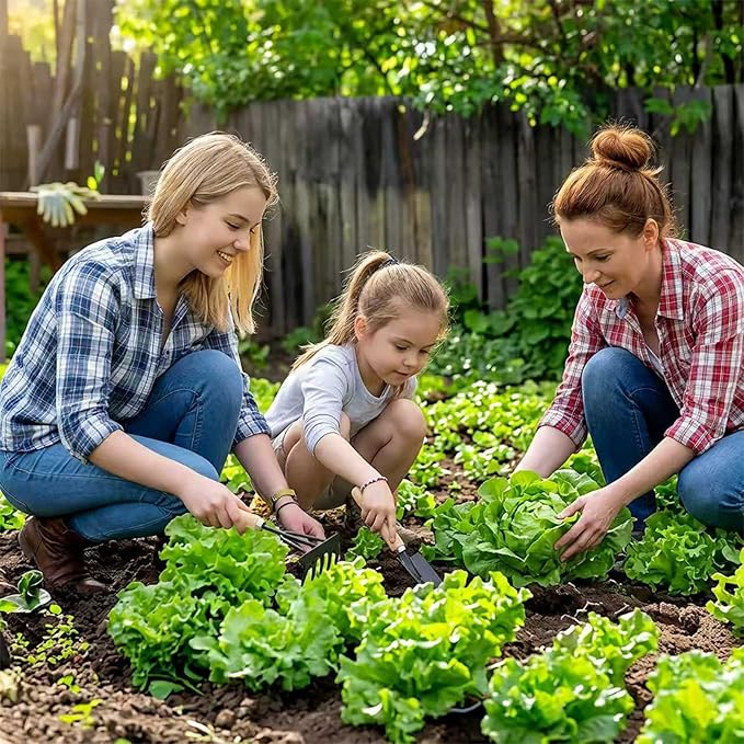 LUOJIBIE Lettuce Seeds for Planting Outdoors, Vegetable Garden Seeds, 8 Varieties Non-GMO Heirloom Lettuce Seeds (Romaine, Red Leaf, Italian, Batavian, and More) for Fresh Salad Greens, Fast Growing