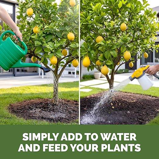 Lemon Tree Fertilizer for Lemon Trees and Citrus, Liquid Plant Food, 1 Gallon (128 oz)