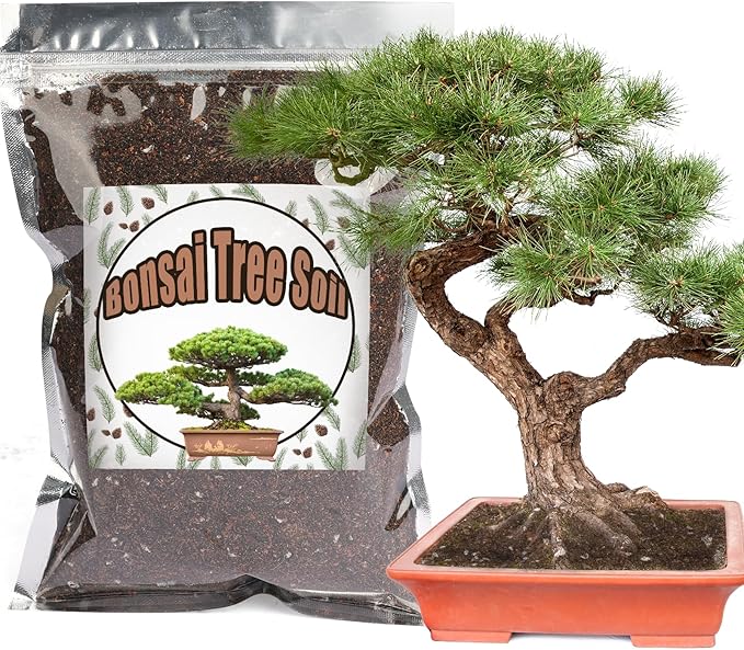 Doter Bonsai Soil Mix 1qt Ready to Use, Organic Bonsai Tree Soil Fits for Small Bonsai Pot, Suitable for Bonsai Seedling, Repotting, or Bonsai Starter Kit