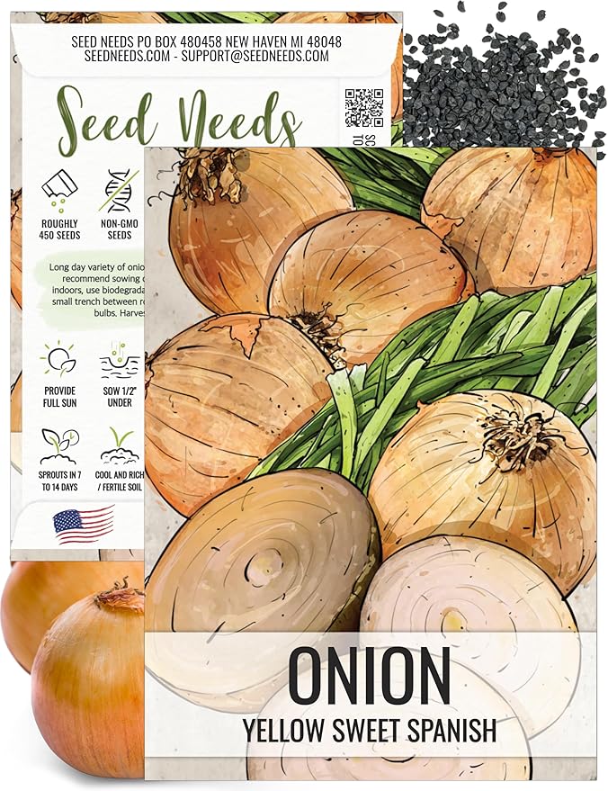 Seed Needs Onion Seeds for Planting Yellow Sweet Spanish Long Day Onions - Non-GMO Heirloom & Untreated Vegetable Seeds to Plant an Outdoor Home Grown Veggie Garden (1 Pack)