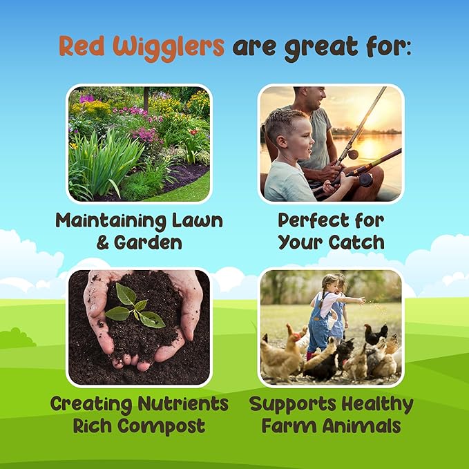 Red Wigglers Composting Worms - 2lb Red Worms for Composting - Use on Worm Castings for Plants, Garden, Worm Farm & Compost Starter, Easy to Manage
