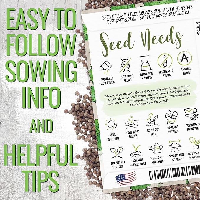 Seed Needs Shiso Seeds for Planting Green & Red Perilla - Non-GMO Heirloom & Untreated Herb Seed to Plant an Indoor/Outdoor Culinary Garden (Collection of 2 Packets)