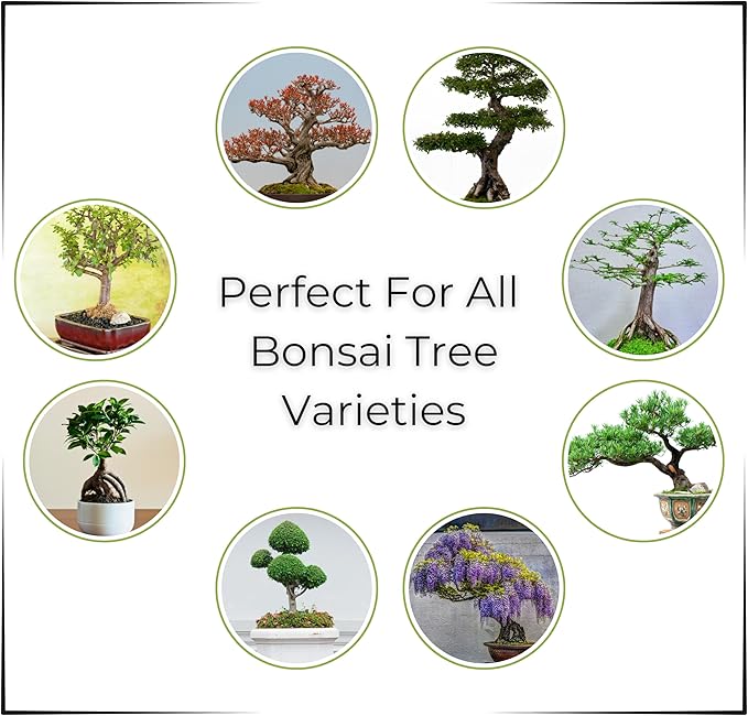 Bonsai Tree Potting Mix, Organic. 2qt Bag (3.5lbs) with Biochar, Mycorrhizae, Lava Rocks, Pumice, Pine Bark, Wood Compost, and Other Essential Nutrients.