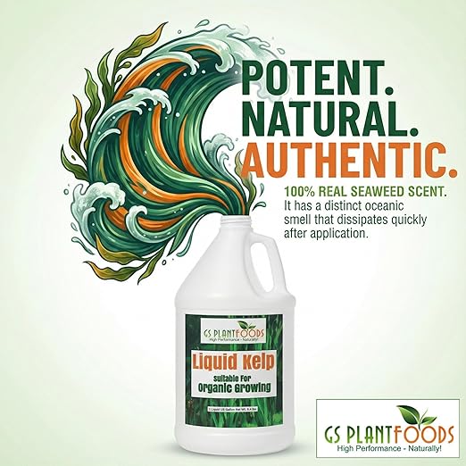 Organic Kelp Fertilizer by GS Plant Foods - Omri Certified (1 Quart) - Kelp Fertilizer for Gardens, Lawns & Soil