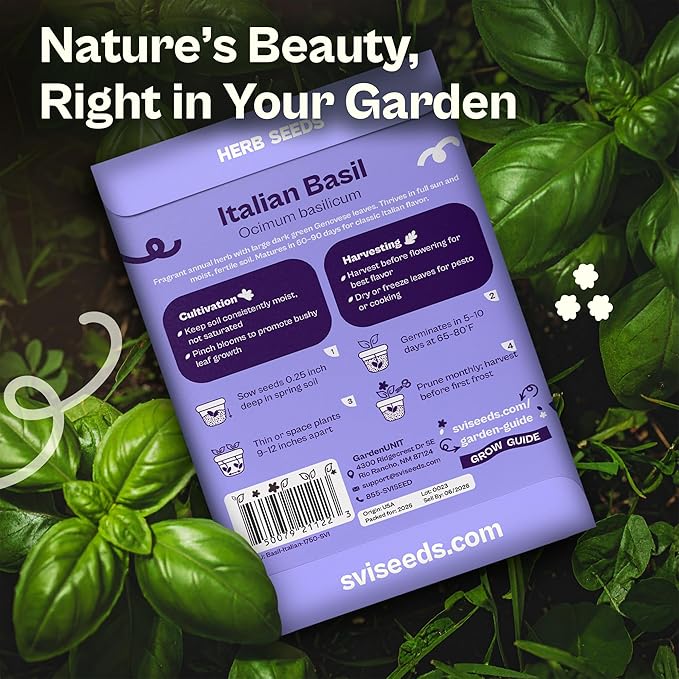 SVI 1750 Italian Basil Seeds (Ocimum basilicum) – Large Leaf Sweet Genovese Basil Seed Packets –Non GMO Italian Herbs, Heirloom Herb Seeds for Outdoor & Indoor Herb Garden, Containers