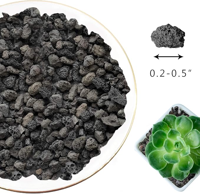 Black Lava Rocks for Plants -100% Pure Volcanic Rock No Dyes or Chemicals-Best Lava Stones Top Dressing for Cacti Succulents Plants,Bonsai-12LBS