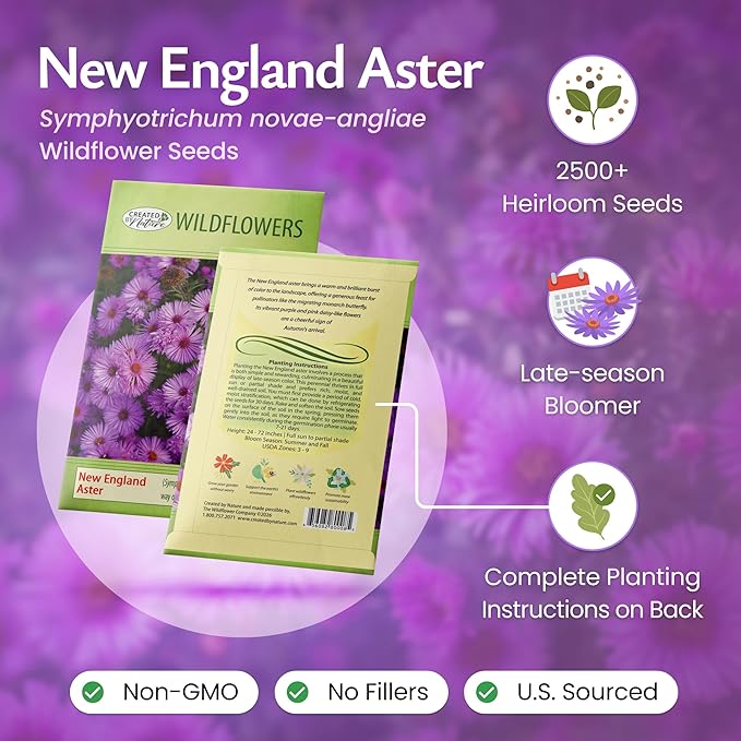 Created By Nature, New England Aster Seeds, Pink and Purple Perennial Flower Seeds, Non-GMO, Pollinator Friendly, 2,500 Seeds, Covers Up to 93 sq. ft. (Symphyotrichum novae-angliae)