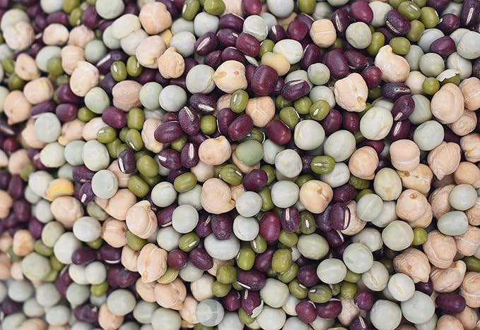 1 Pound Protein Bean Sprout Starter Seeds - 16 Servings per Bag - Organic NON-GMO - Includes Garbanzo, Adzuki, Mung, and Green Pea