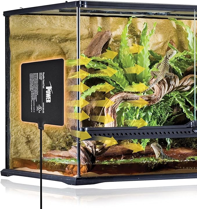 iPower 6X8 Inch Reptile Heat Pad Under Tank Heater Terrarium Warmer Heating Mat and Digital Thermostat Controller for Turtles Lizards Frogs and Other Small Animals