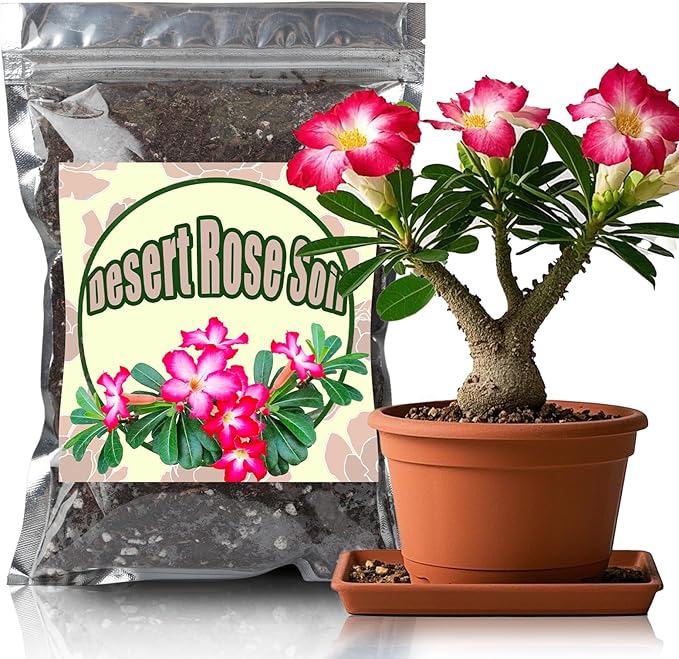 Organic Desert Rose Potting Soil Mix for Healthy Growth 2qt- 100% Natural Potting Mix - Specially Formulated Nutrient-Rich Plant Soil for Desert Rose Plant
