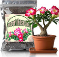 Organic Desert Rose Potting Soil Mix for Healthy Growth 1qt - 100% Natural Potting Mix - Specially Formulated Nutrient-Rich Plant Soil for Desert Rose Plant.