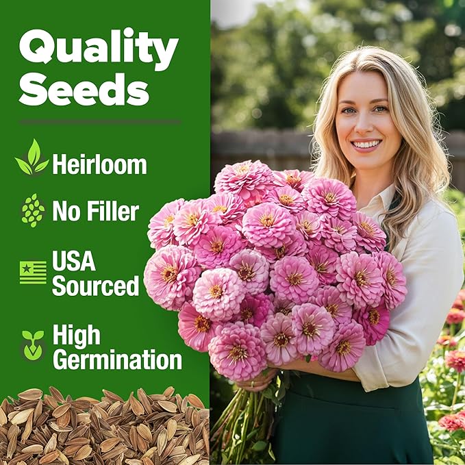 HOME GROWN Flower Seeds Giant (Zinnia Luminosa, 2-Pack)