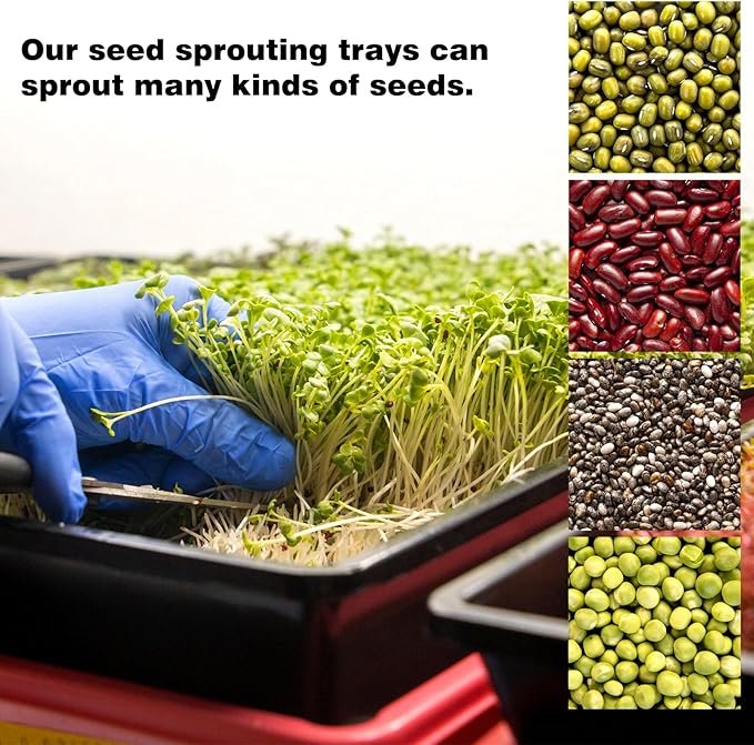 Pack 8 Seed Sprouter Tray with Plant Hemp Fiber Grow Mat,Microgreens Growing Kit for Seedling Wheatgrass Hydroponic,Wheatgrass Sprouting Tray, Greenhouse Seed Starter Trays (5 Pack)