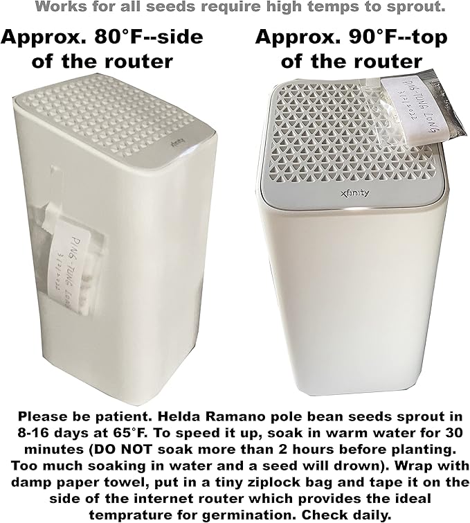 for 2026-Organic Pole Bean Seeds for Planting Vegetables and Fruits-Chinese Green Bean Seed(芸豆,青扁豆) French/Romano Pole Beans.Non GMO Garden Seed for Home Vegetable Garden(30-37 Veggie Seeds-Helda)