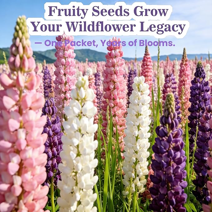 Russell Lupine Seeds (0.35oz - 1000+ Seeds) - Mixed Color Perennial Wildflower - Lupinus polyphyllus - Non-GMO Heirloom Seeds for Planting, Attracts Bees & Hummingbirds,