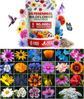 HOME GROWN 90,000+ Wildflower Seeds Mix 3oz 24 Varieties Non-GMO Perennial Flower Seeds for Planting Outdoors Butterfly & Pollinator Flower Mix Attract Bees Birds & Hummingbirds