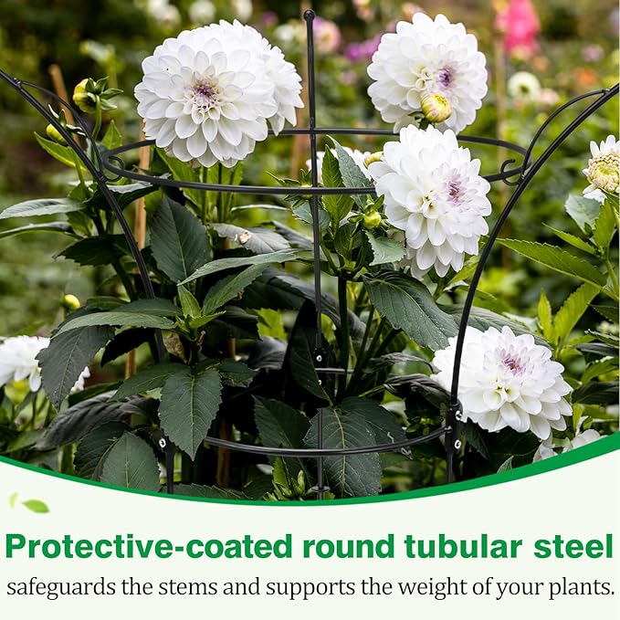6 Pack Peony Cages and Supports Cages 13" D x 22.8" H Heavy Duty Metal Support Frame for Peonies & Roses Natural Bouquet Shape Garden Stakes for Outdoor Plants Flowers Ornamental (Black)