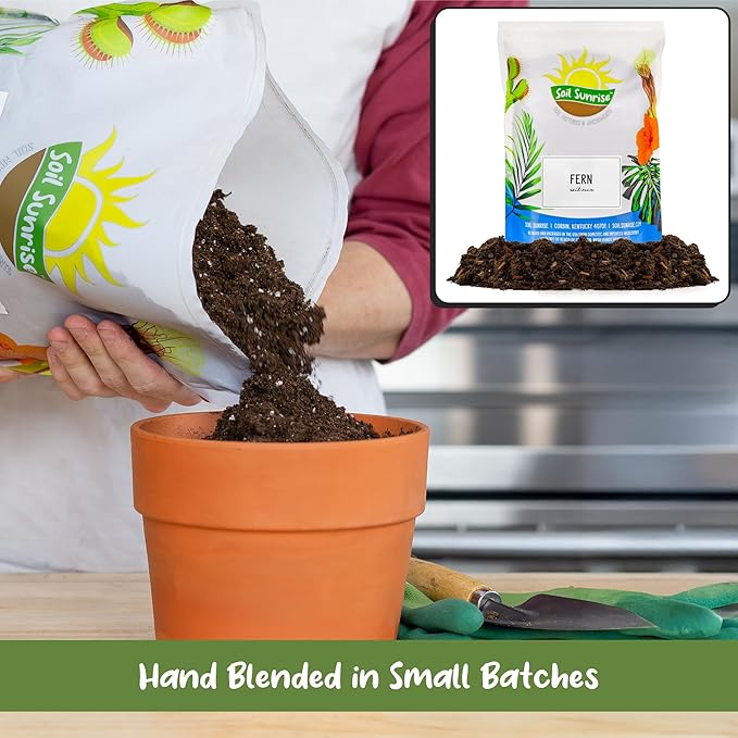 Soil Sunrise Fern Plant Potting Soil Mix (8 Quarts) Custom Hand Blended Mixture for Indoor/Outdoor Container Gardening