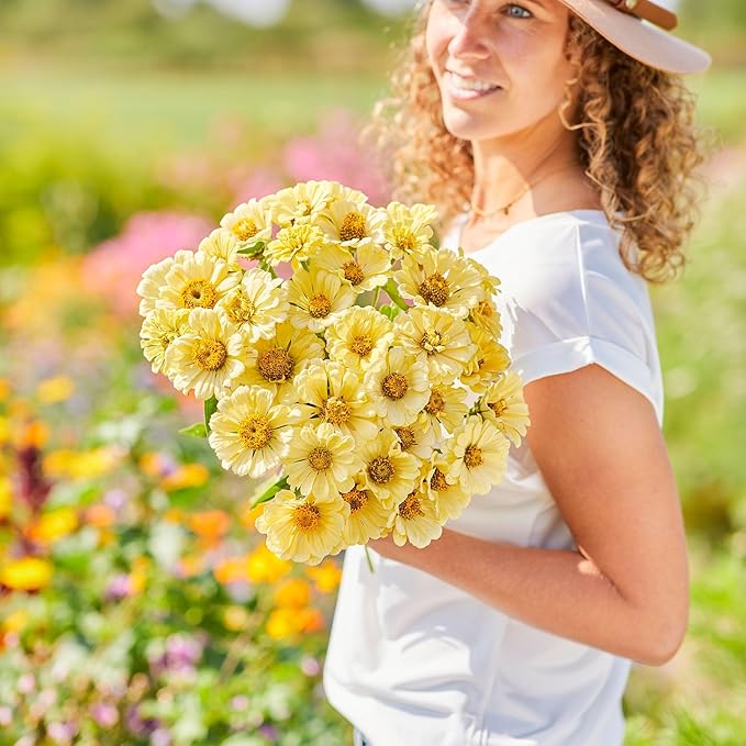 Eden Brothers Zinnia Seeds - Isabellina, Non-GMO Seeds for Planting, Packet | Low-Maintenance Flower Seeds, Plant During Spring, Zones 3, 4, 5, 6, 7, 8, 9, 10