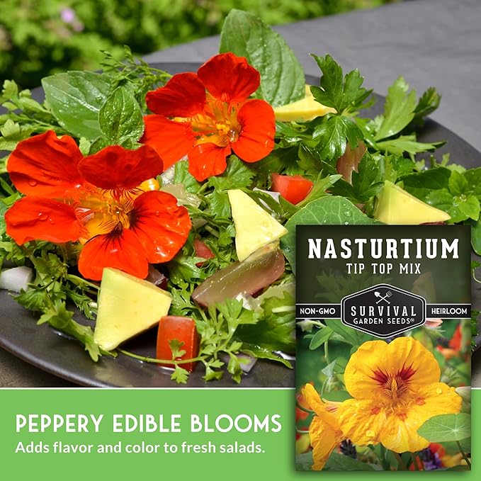 Nasturtium Seeds for Planting Outdoors – Tip Top Mix Heirloom Variety of Edible Flowers & Companion Plants, Non-GMO Seeds for Home Gardens - Survival Garden Seeds (1 Pack)