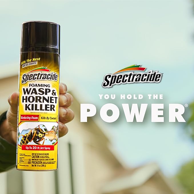 Spectracide Foaming Wasp & Hornet Killer, Blanketing Foam Kills by Contact, 14 Ounces