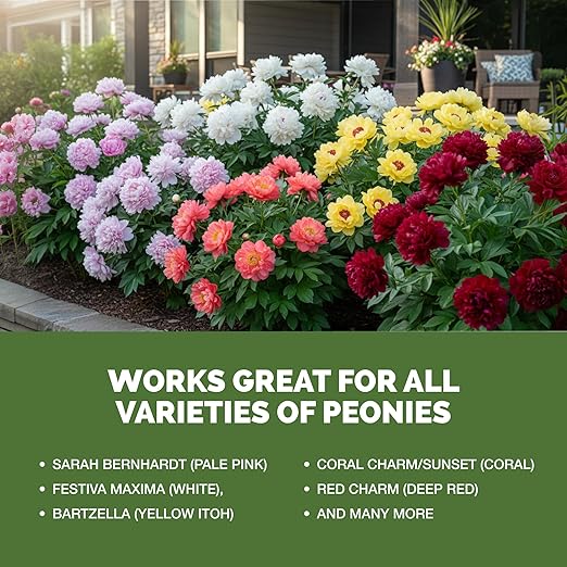 Peony Fertilizer – Liquid Plant Food for Bigger Blooms, Stronger Stems & Healthy Root Development, 8 oz
