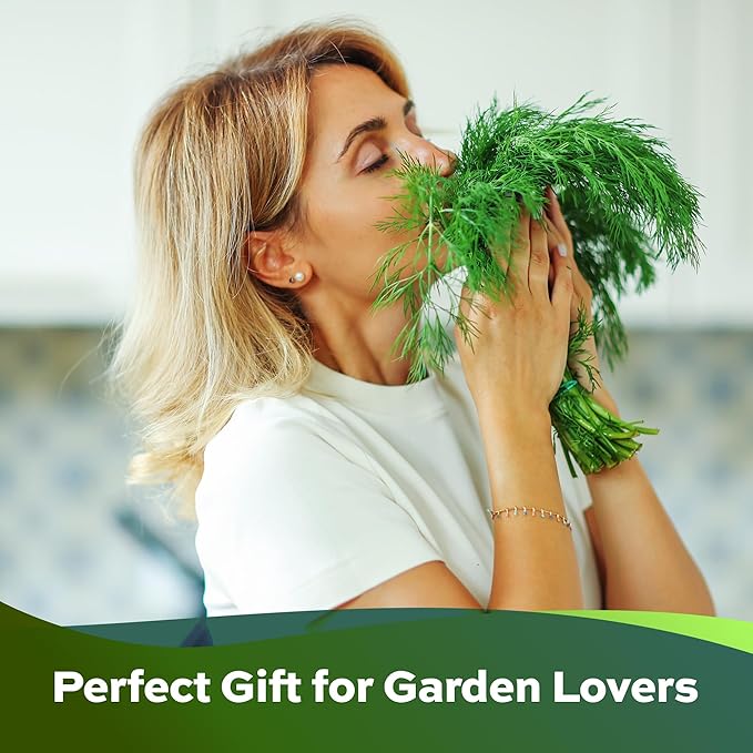 2000 Dill Seeds for Planting (Bouquet Variety) – Heirloom, Non-GMO, USA Grown Herb for Indoor/Outdoor Planting, Perfect for Pickling & Cooking by RDR Seeds