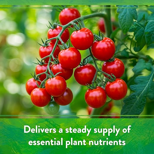 Down To Earth All Natural Fertilizers Organic All Purpose Tomato & Vegetable Mix - Plant Food for Tomatoes, Peppers, Herbs and Flowers 4-6-2, 40 lb