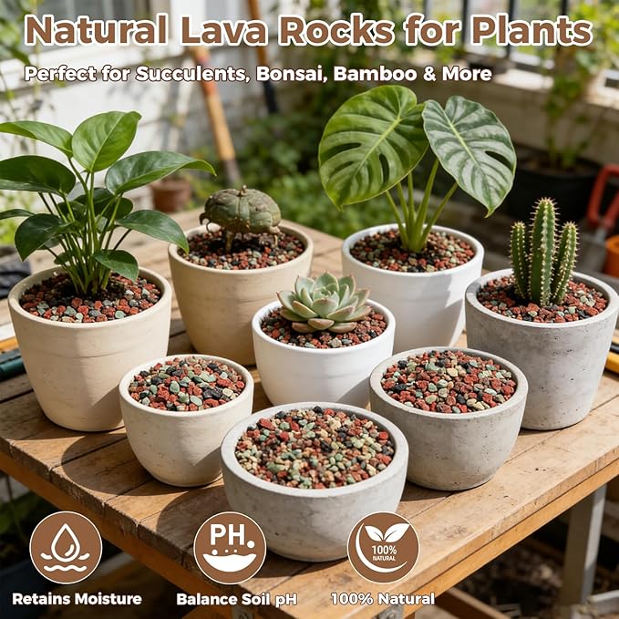 44lb Mix Lava Rocks for Plants 3/8" Horticultural Pumice for Plants, Succulent Cactus Soil Potting Mix - Horticultural Sand Aquarium Gravel Drainage Rocks for Potted Plant, Bonsai Soil, Top Dressing