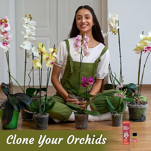 Keiki Cloning Paste - Special Cytokinin Formula Gives a New Baby Orchid (Keiki) in Weeks - Can Be Used on All Kinds of Orchids and Also House Plants (2 Pack)