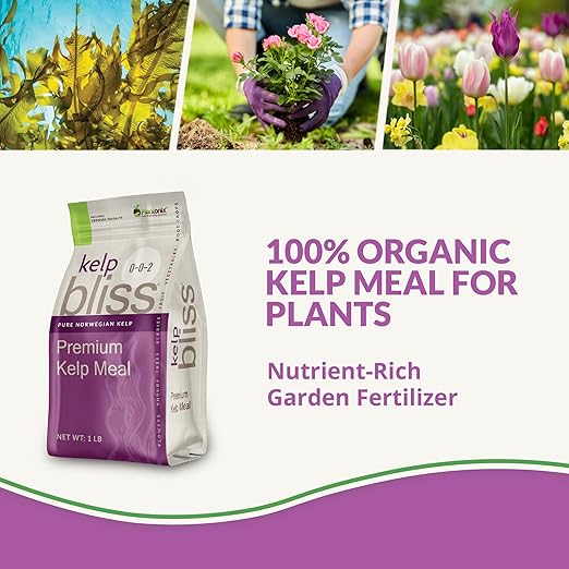 Neem Bliss (1lb) + Kelp Meal (1lb) - Neem Cake for Plants & Kelp Meal Organic Fertilizer - Kelp Fertilizer for Plants - Neem Seed Meal Fertilizer - Natural Plant Food Rich in Vitamins & Nutrients
