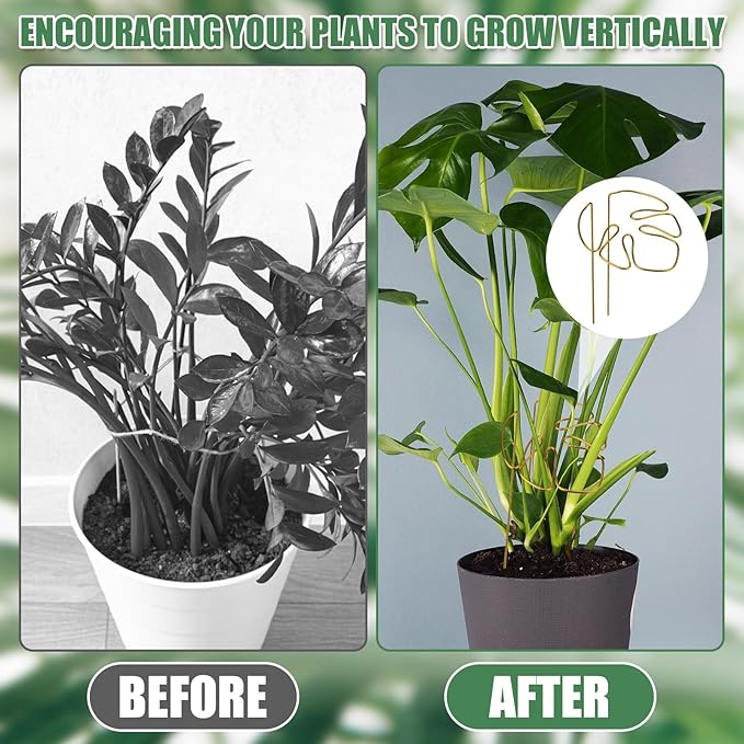 2pcs Monstera Shaped Supports for Growing Plants, Gold Climbing Houseplant Stem Supports Ring Reusable Leaf Plant Growth Accessories for Indoor & Outdoor Plants