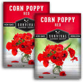 Survival Garden Seeds Red Corn Poppy (Papaver Rhoas) | 2 Packs with Wildflower Seeds & Planting Instructions | Grow Flanders (American Legion) Poppies in Your Home Flower Garden - Non-GMO Heirloom