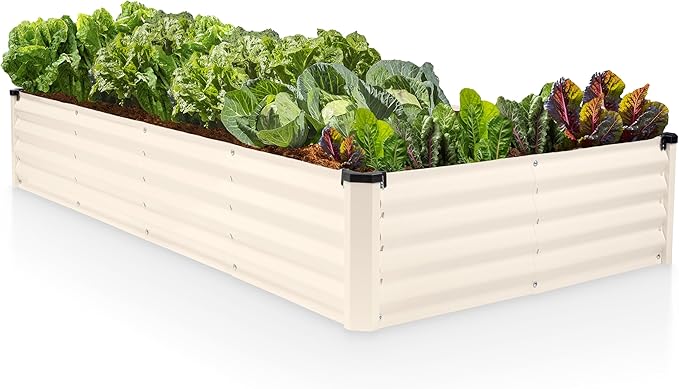 Plant & Plot Galvanized Raised Garden Beds Outdoor // 8×4×1 ft Planter Raised Beds for Gardening, Vegetables, Flowers // Large Metal Garden Box (White) // Patented Tool-Free Design