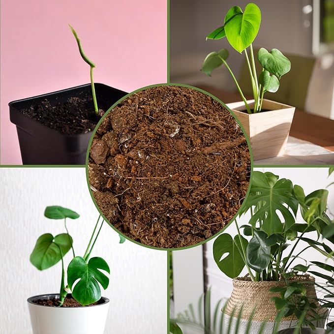 Soil Sunrise Monstera Houseplant Potting Soil Mix (12 Quarts) Custom Blend for Growing and Repotting