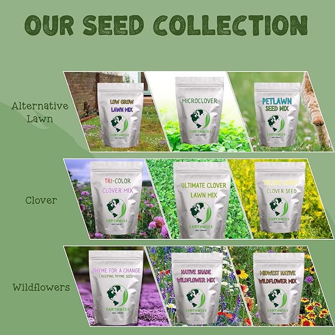 Earthwise Pollinator Paradise Native Wildflower Seed Mix – Bee and Butterfly Friendly, Organic, Season-Long Blooms, Low Maintenance, Drought Tolerant, Pet Safe – Covers Up to 1,200 sq ft, 1/2 lb